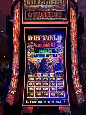 Golden Buffalo Rush slot by Playson at Dara Casino